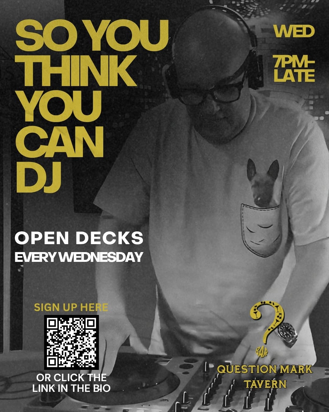 so you think you can DJ